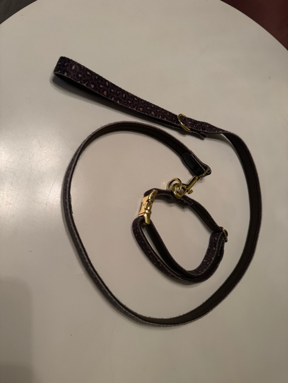 London Fog Dog Leash and Collar Set with Gold Hardware